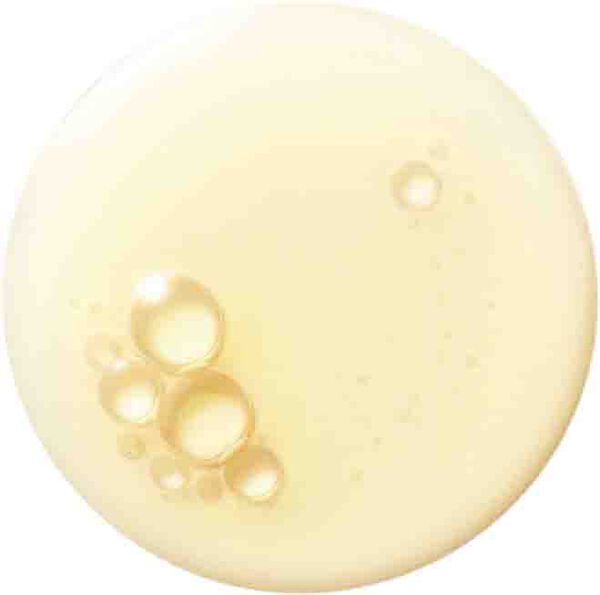 The Renewal Face Oil