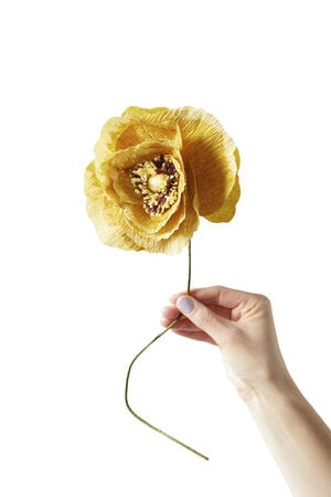 PAPER FLOWER, ICE POPPY, OCHRA, 130440O