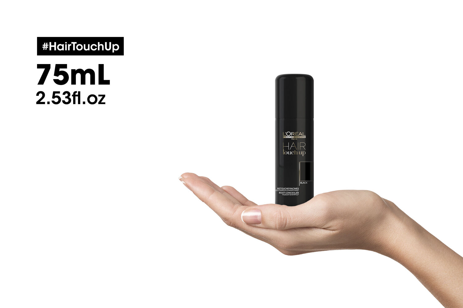 L'Or&eacute;al Professionnel Hair Touch Up Black