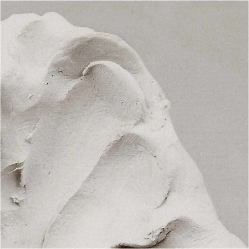 Selvh&aelig;rdende Ler, 1000g.