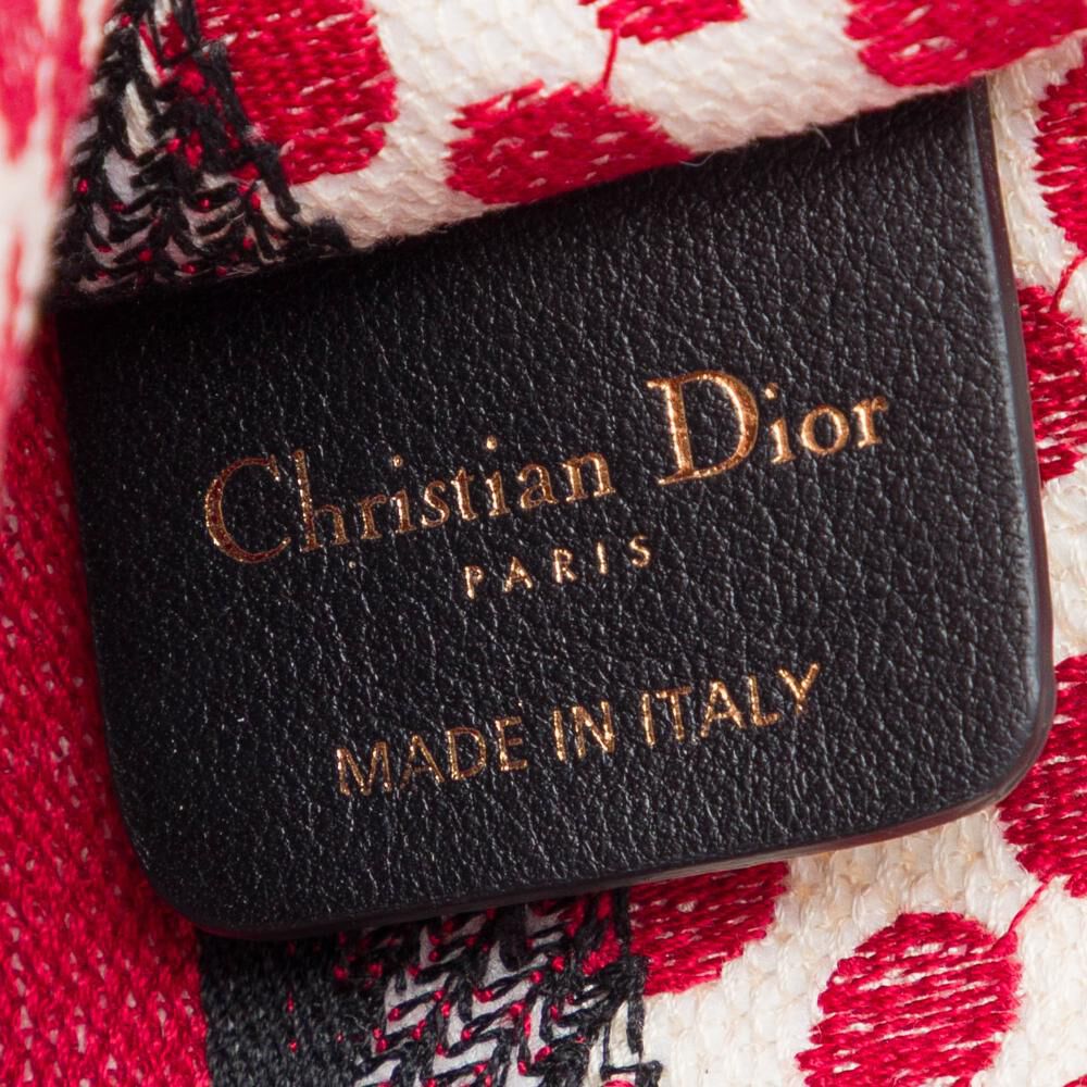 Dior Book Tote