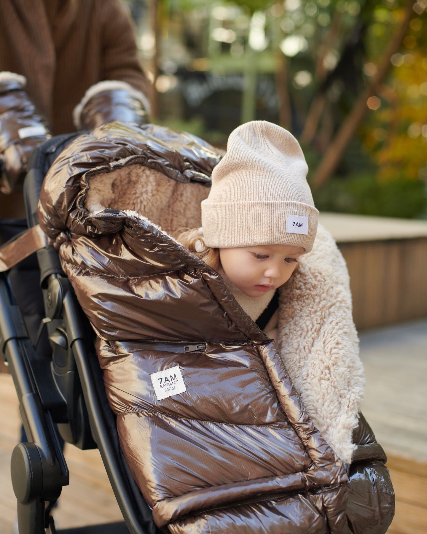Blanket 212 evolution - Polar