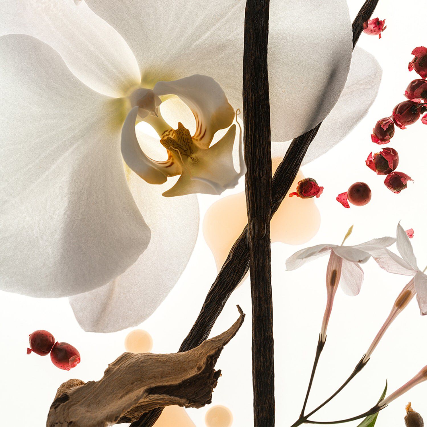 Vanilla Skin - Eau de parfum i rejsest&oslash;rrelse