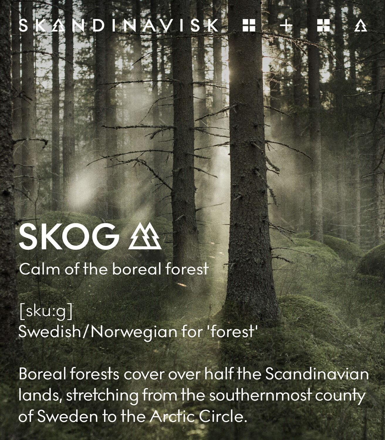 HIBERNATE GIFTSET 3 MINI CANDLES