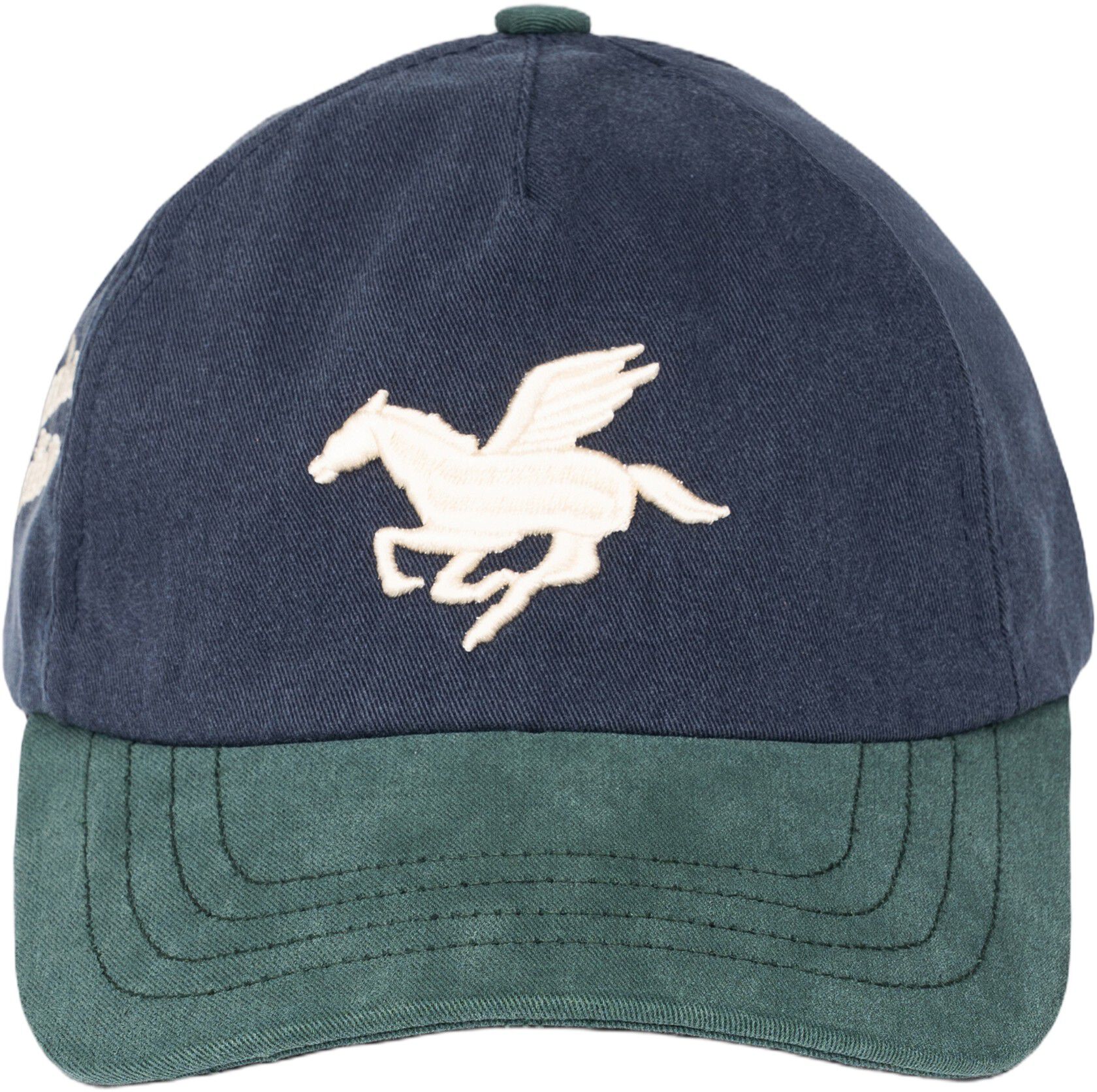 3D PEAGASUS WASHED CAP