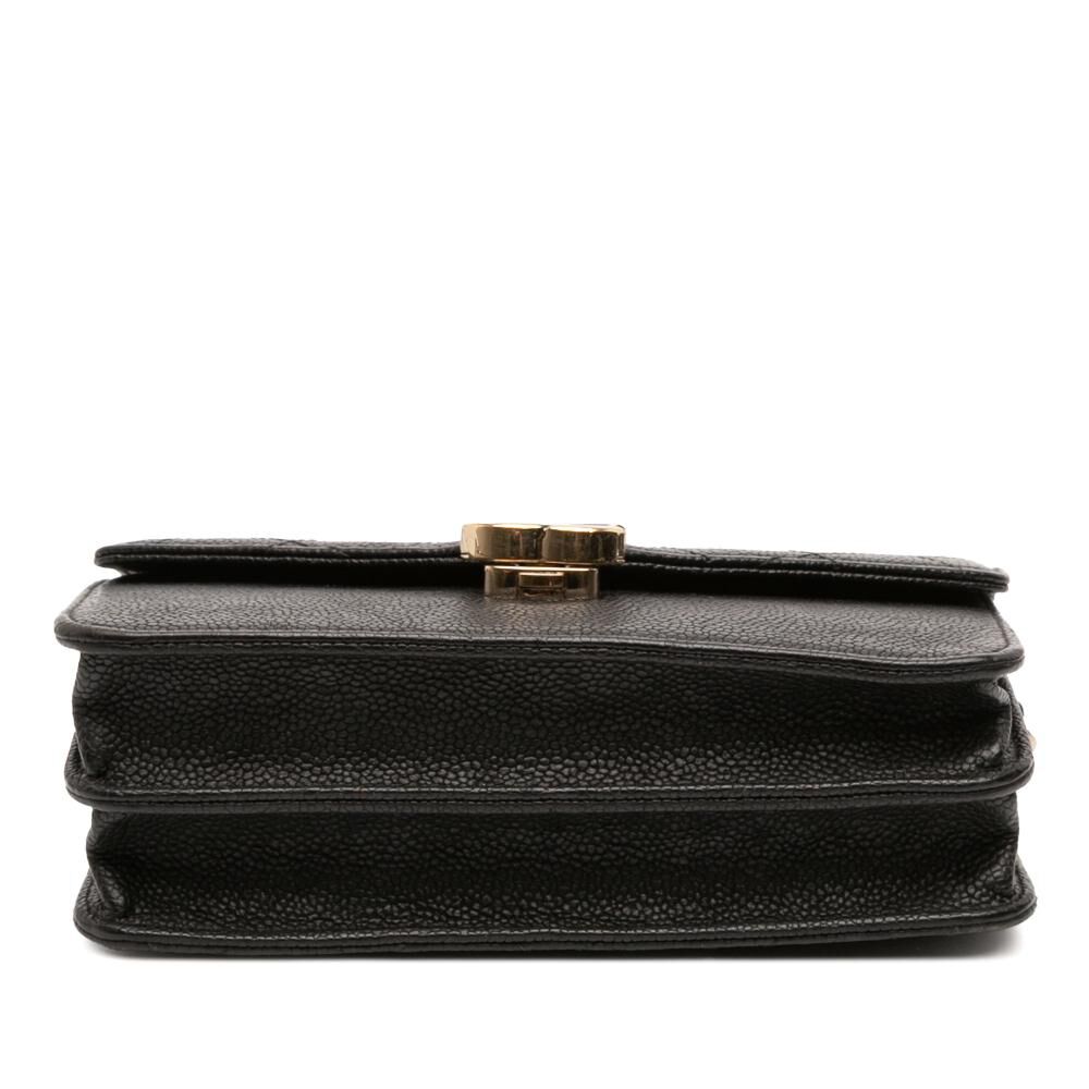 Chanel Crossbody Bag