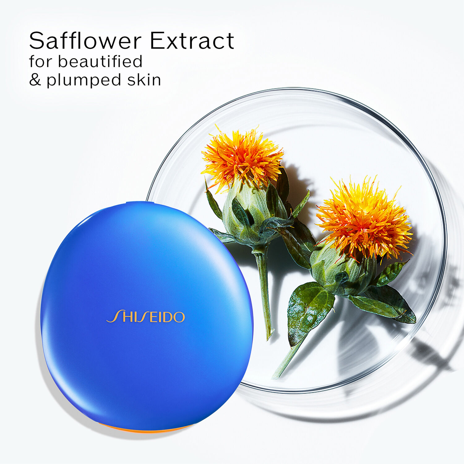 UV Protective Compact Foundation SPF30
