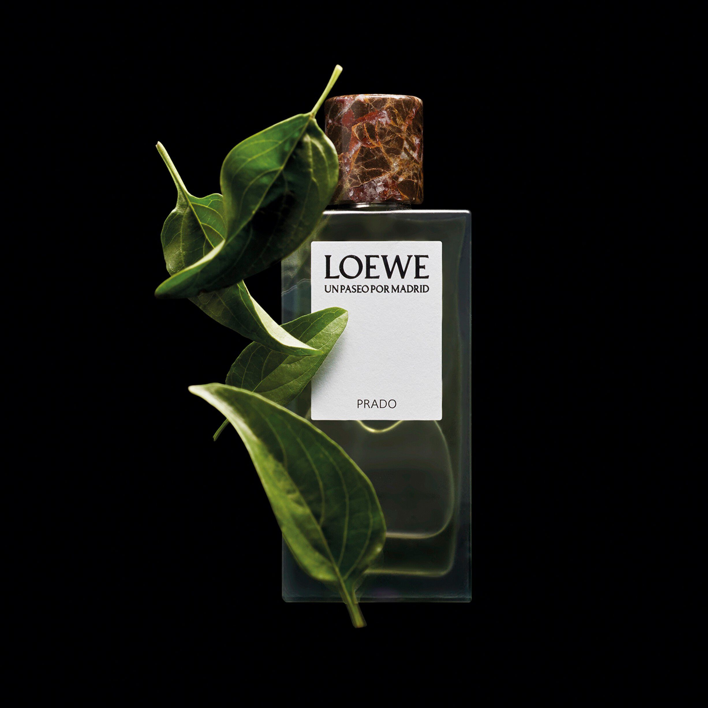 LOEWE Un Paseo por Madrid Prado Eau de Parfum 100 ml