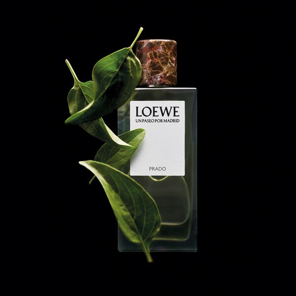 LOEWE Un Paseo por Madrid Prado EDP 100 ml