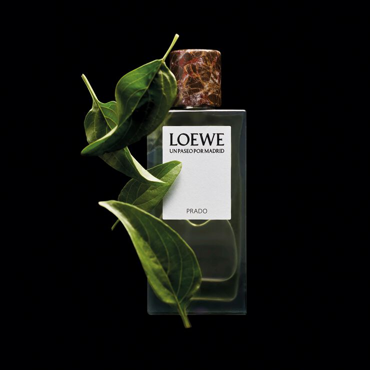 LOEWE Un Paseo por Madrid Prado EDP 100 ml