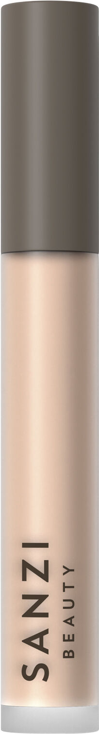 Perfecting Concealer