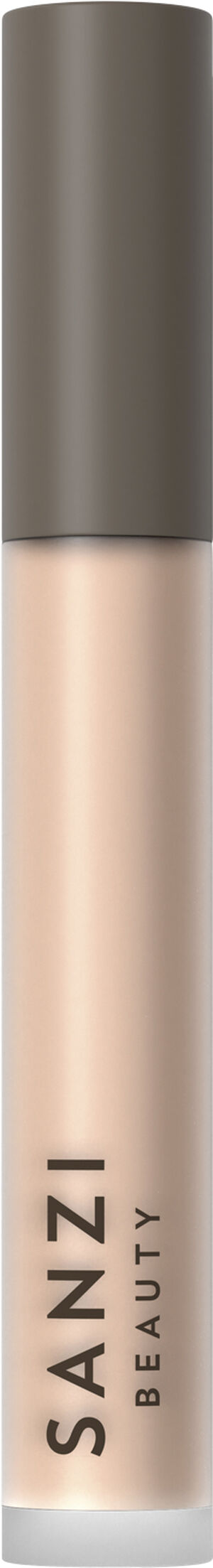 Perfecting Concealer