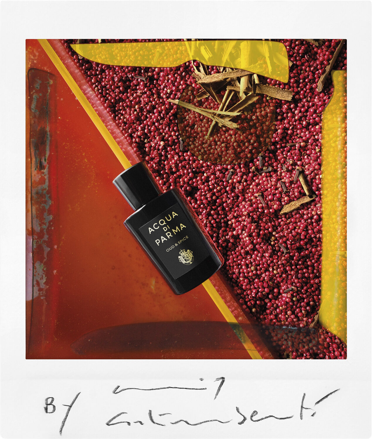 SIG. OUD & SPICE EDP 100 ml.