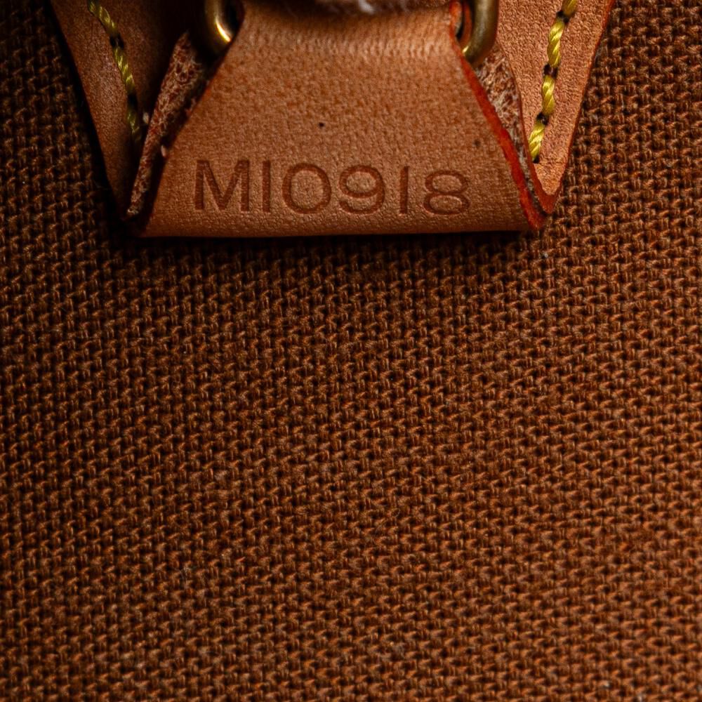 Louis Vuitton Ellipse