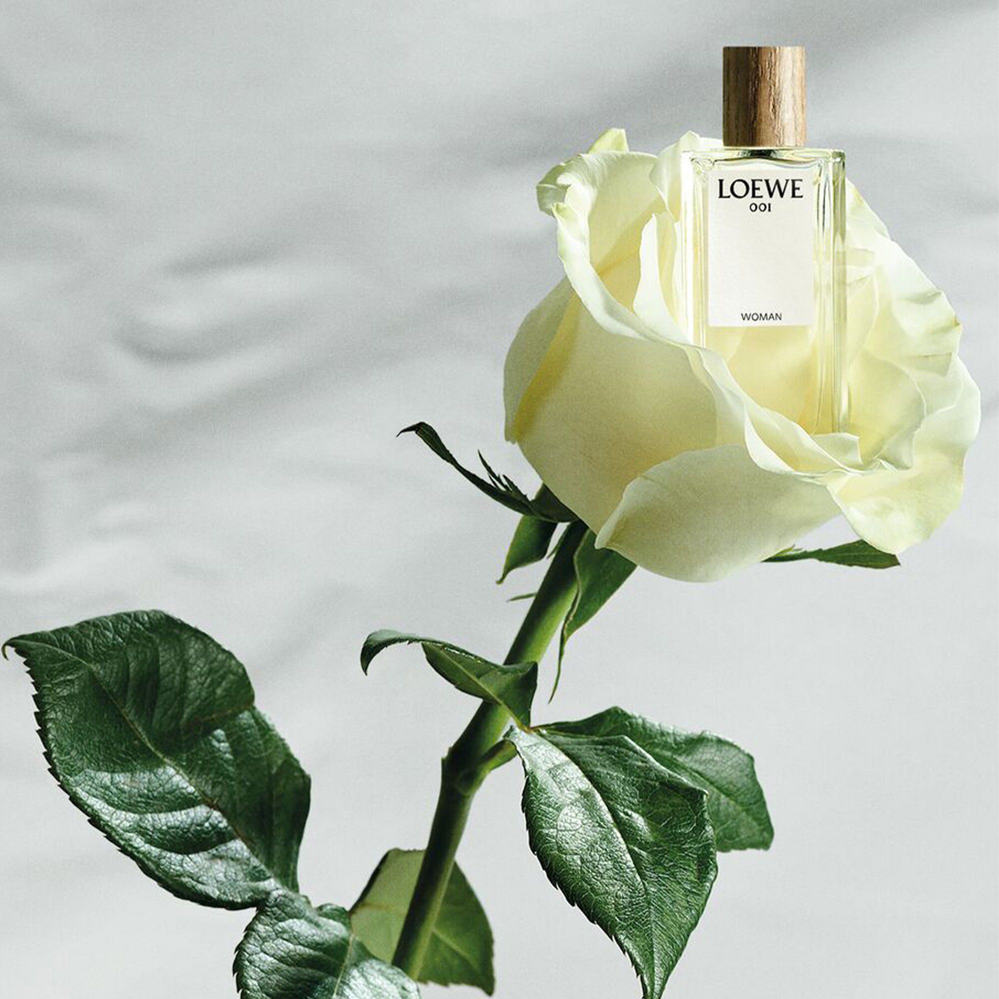 SOLO Minature set 35 ml