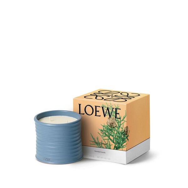 LOEWE Cypress Balls Medium Candle