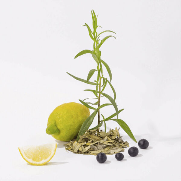 LIQUID MARSEILLE SOAP WHITE TEA 300 ML