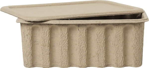 Brass Office Tray