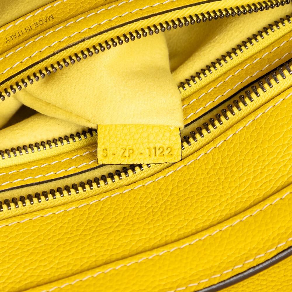 Celine Luggage