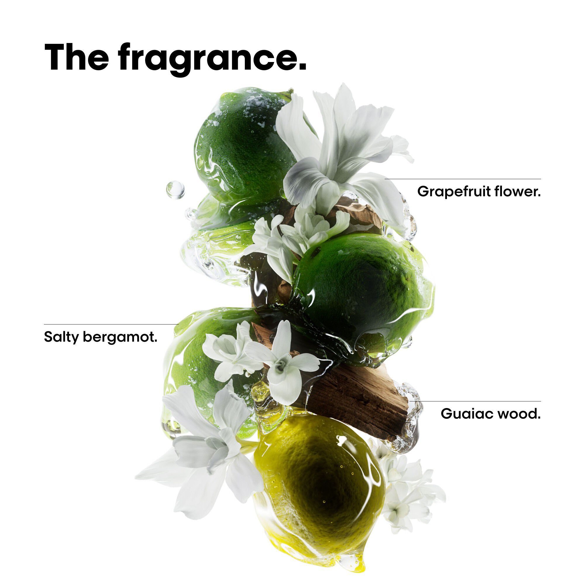 L'Or&eacute;al Professionnel Metal DX Discovery Set Mini: Shampoo 100ml + Mas