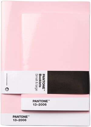 Pantone BOOKLETS SET OF 2 DOTTED - Light Pink