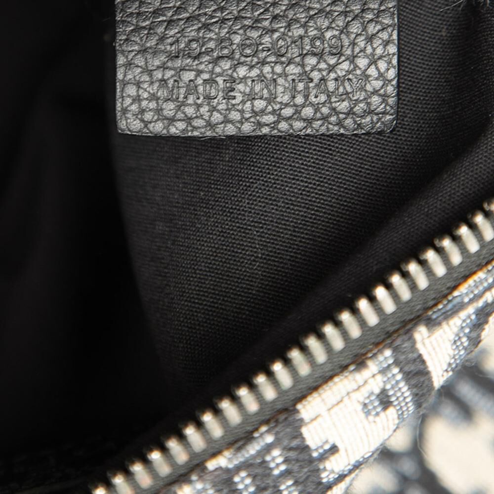 Dior Crossbody Bag