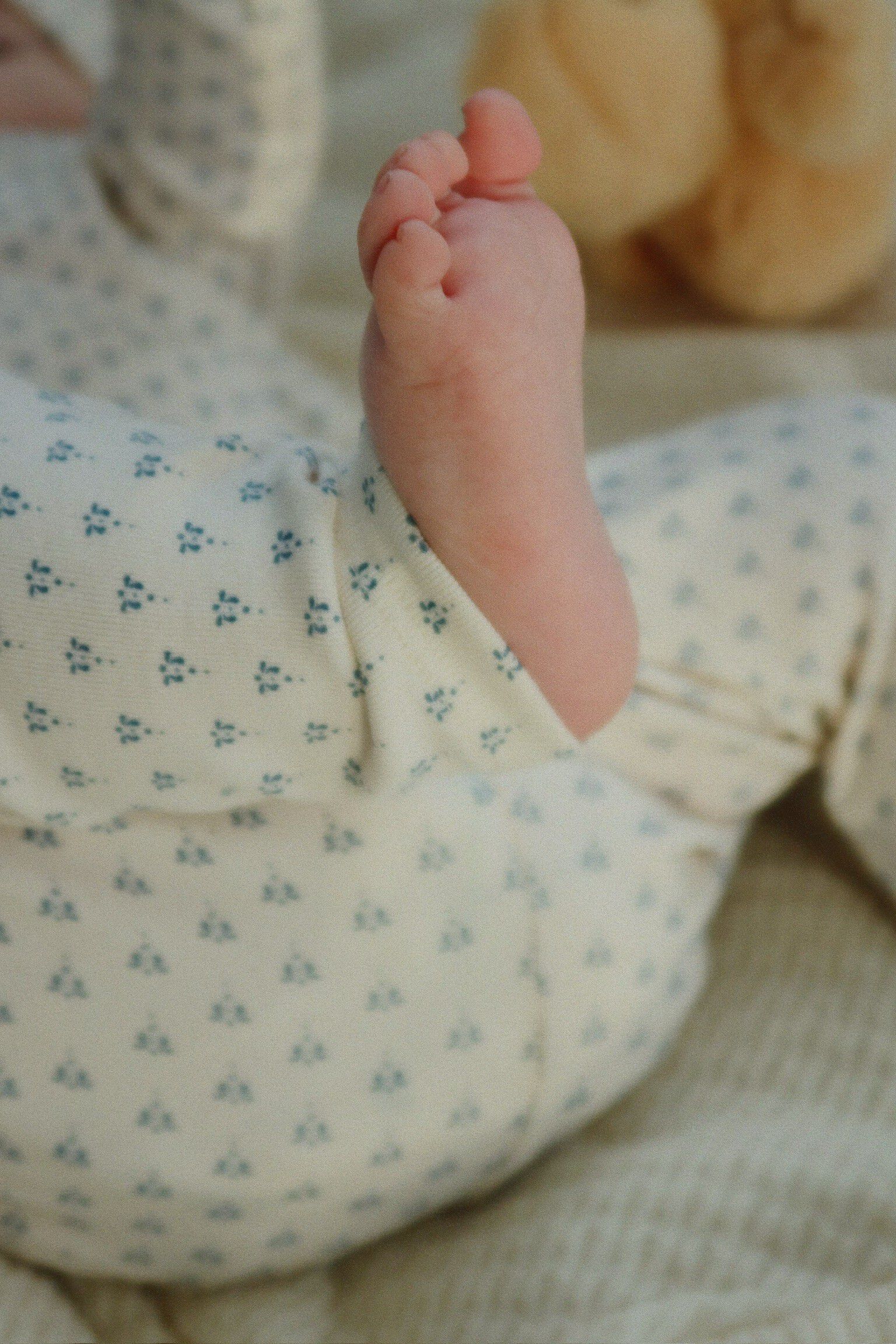 BELLO 2 PACK PANTS OCS