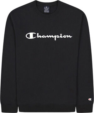 Script Logo Fleece sweatshirt