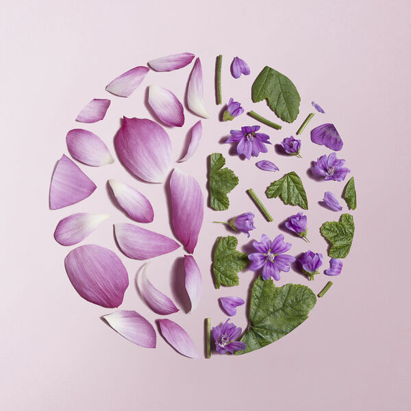 Youth Flow - Youth Flow Serum