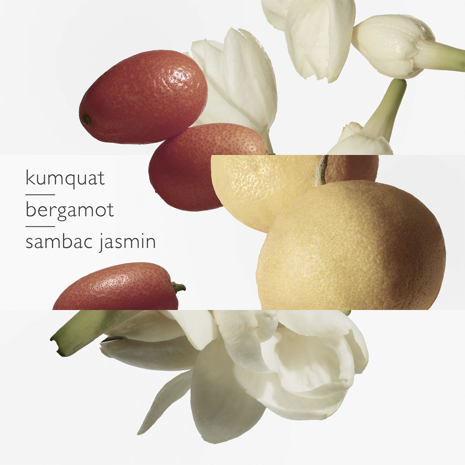 Le Jardin de Monsieur Li Eau de Toilette