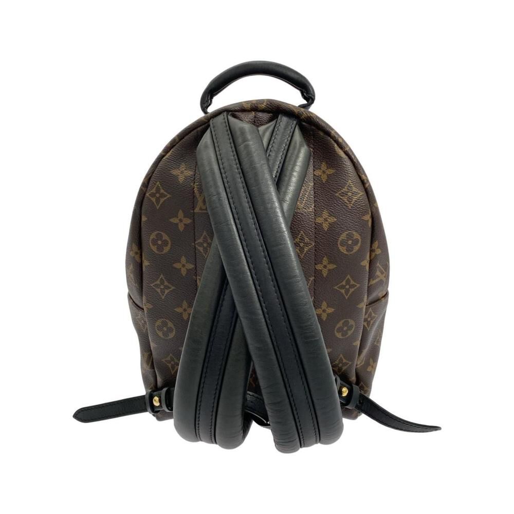 Louis Vuitton Palm Springs
