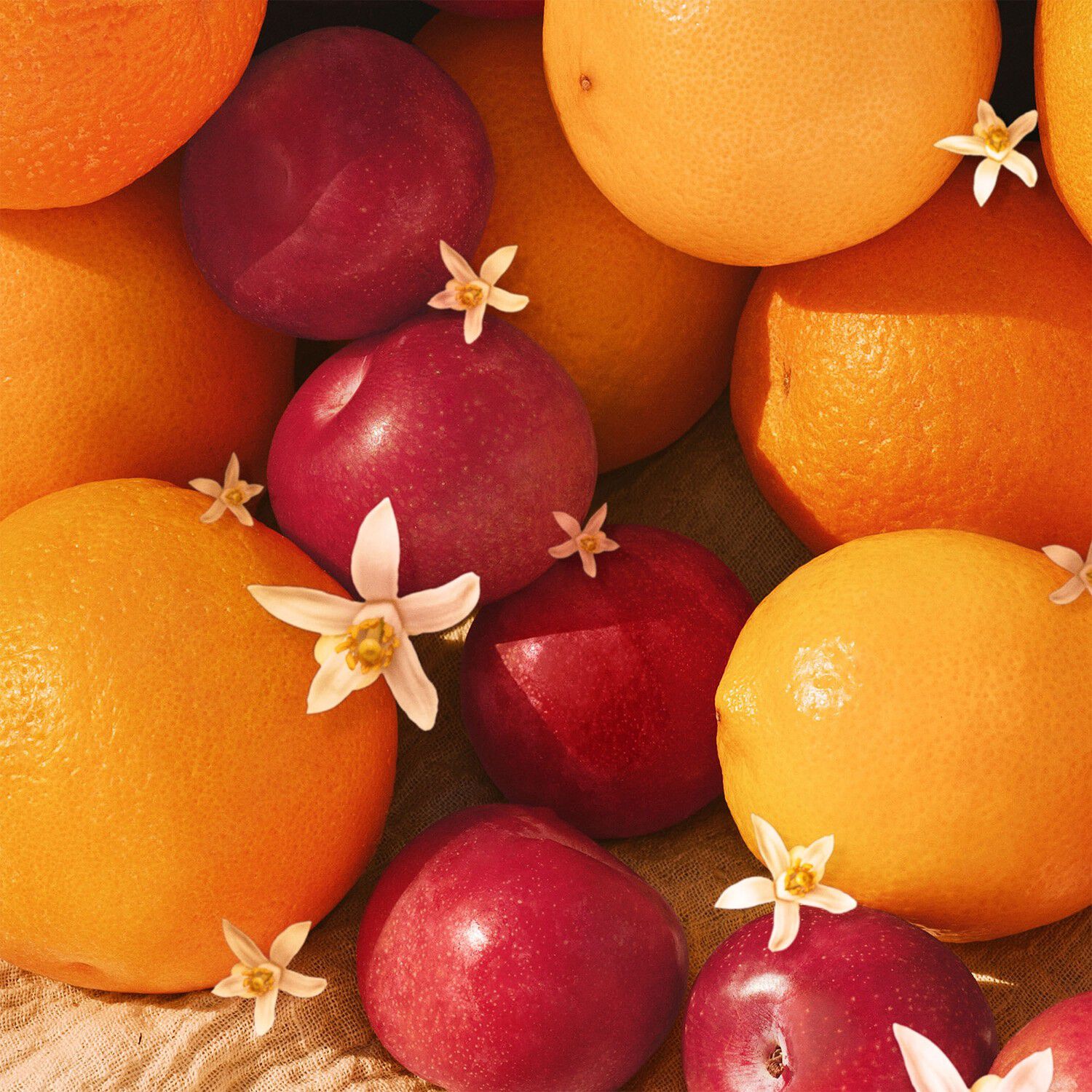 Cheeky Biqu&iacute;ni Perfume Mist - Duftmist til krop og h&aring;r