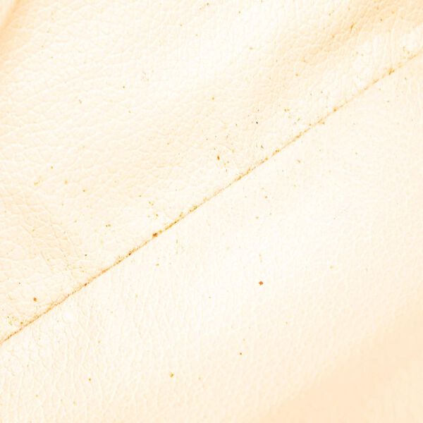 Louis Vuitton Trousse Toilette