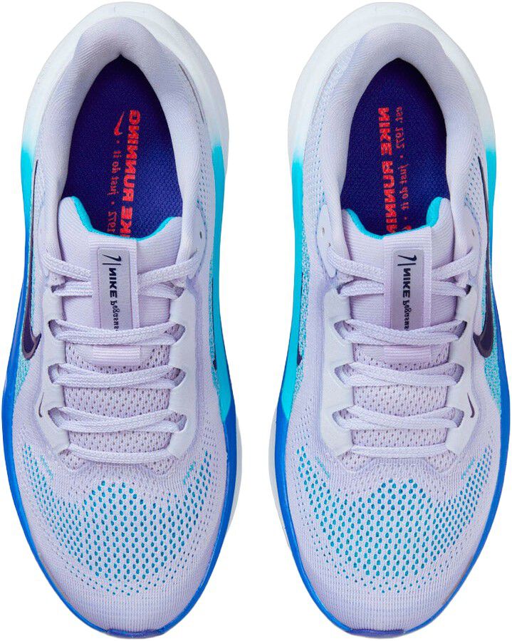 Pegasus 41 L&oslash;besko