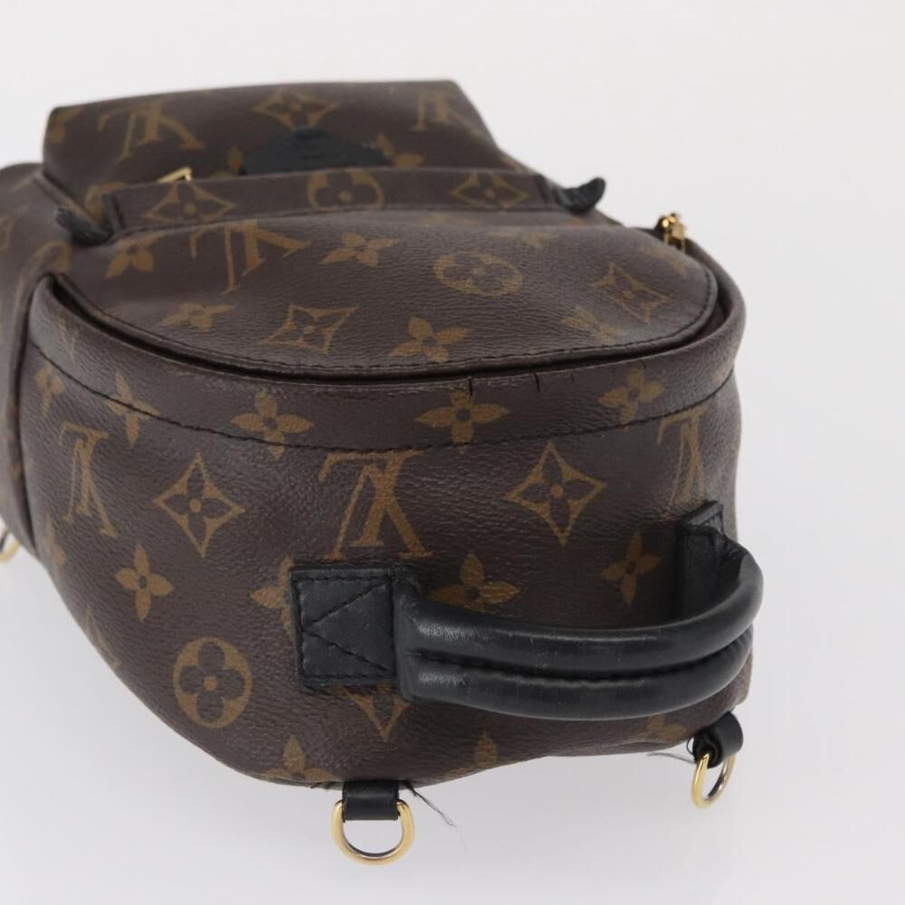 Louis Vuitton Palm Springs