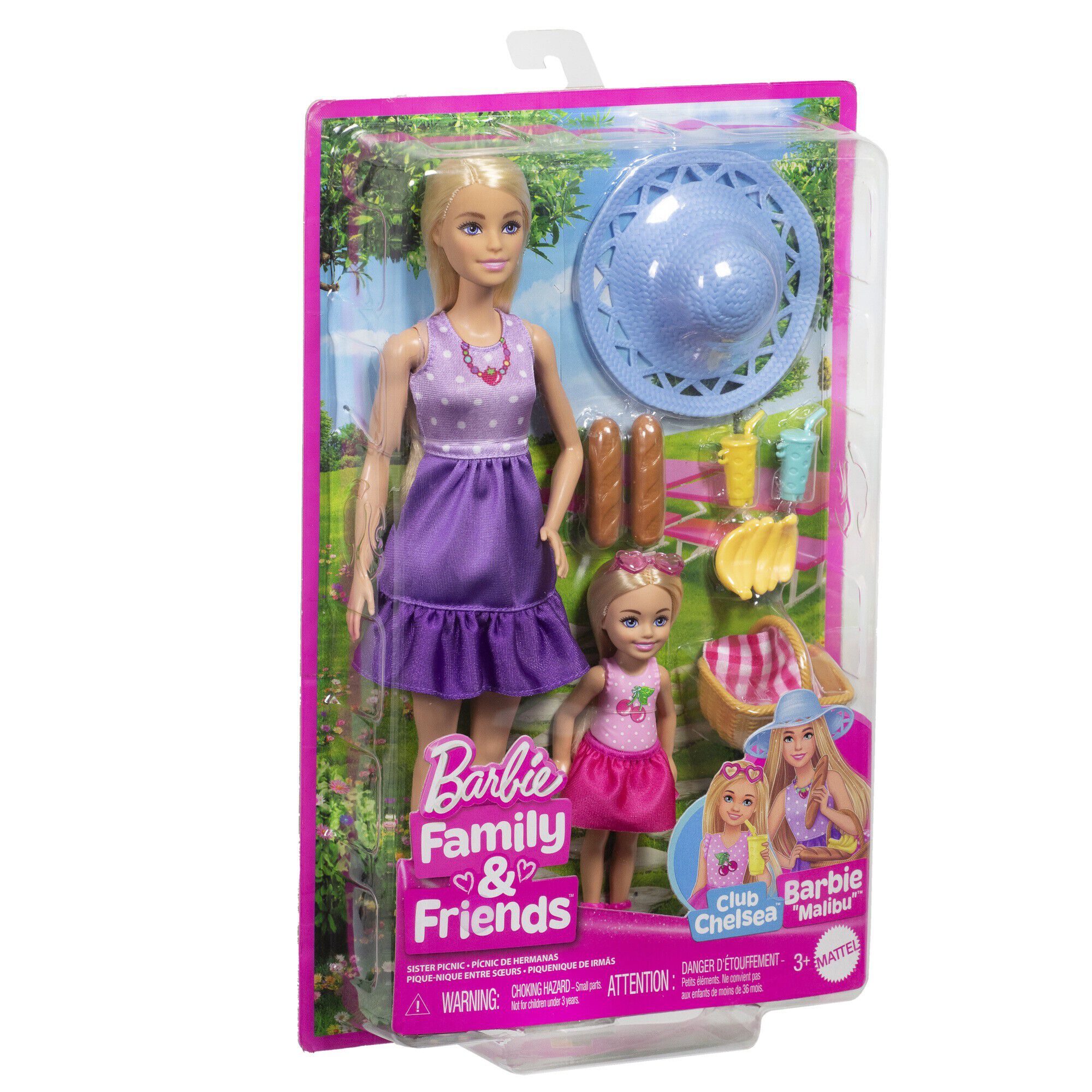 Barbie Malibu & Chelsea C