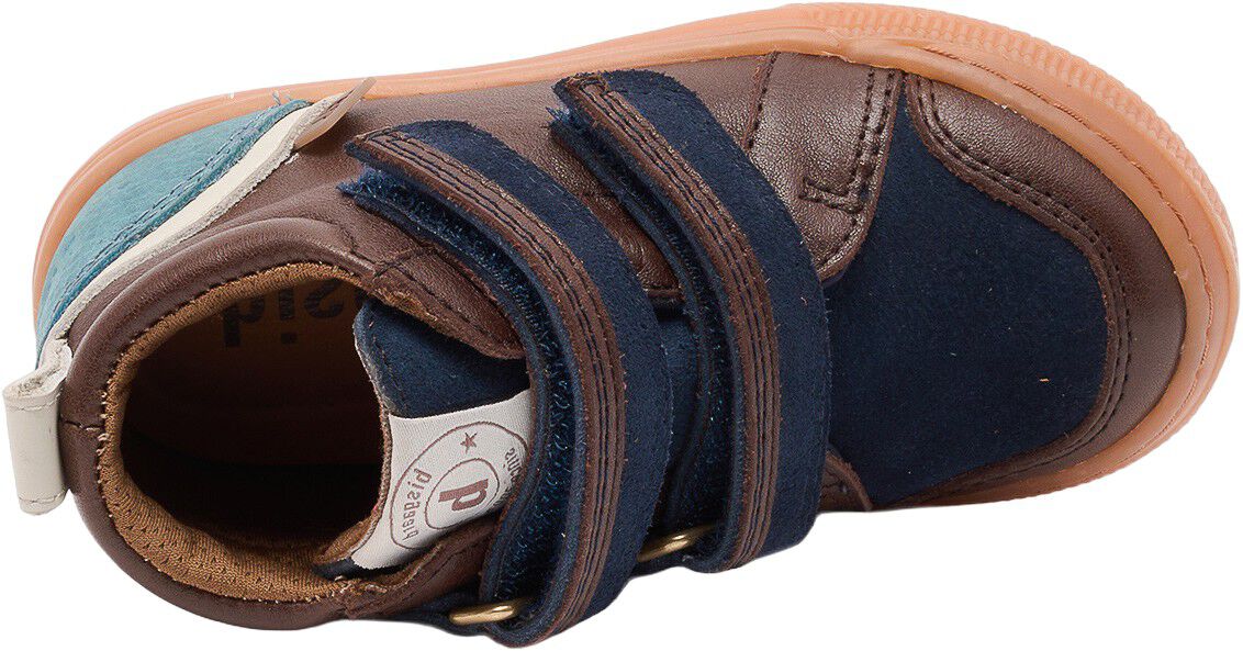 bisgaard cuba tex