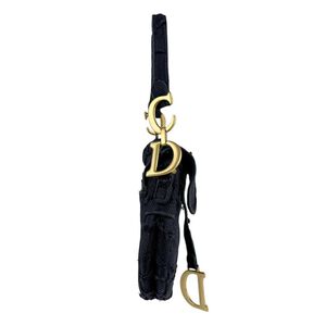 Dior Saddle Bag