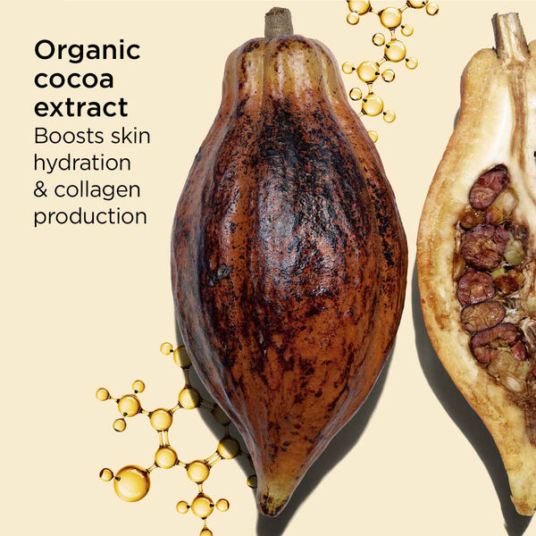 Sun Body Care Mist SPF 50