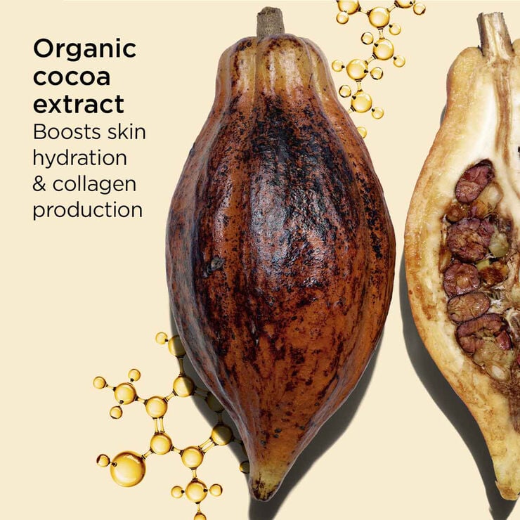 Sun Body Care Mist SPF 50