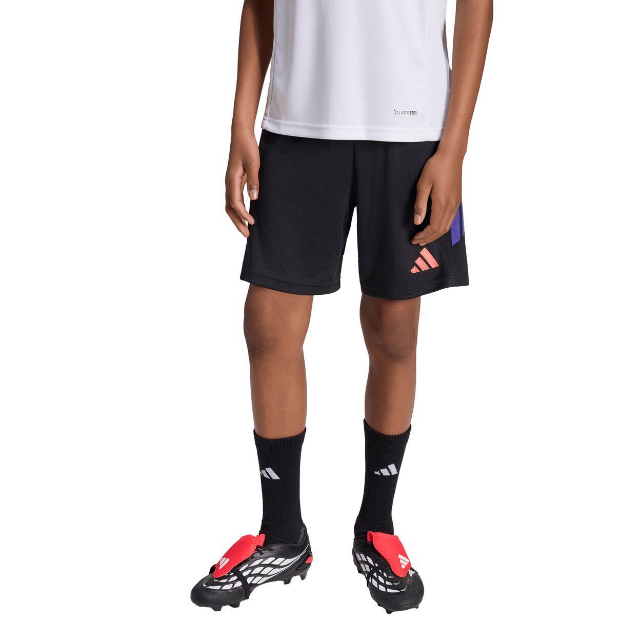 Tiro26 League Shorts