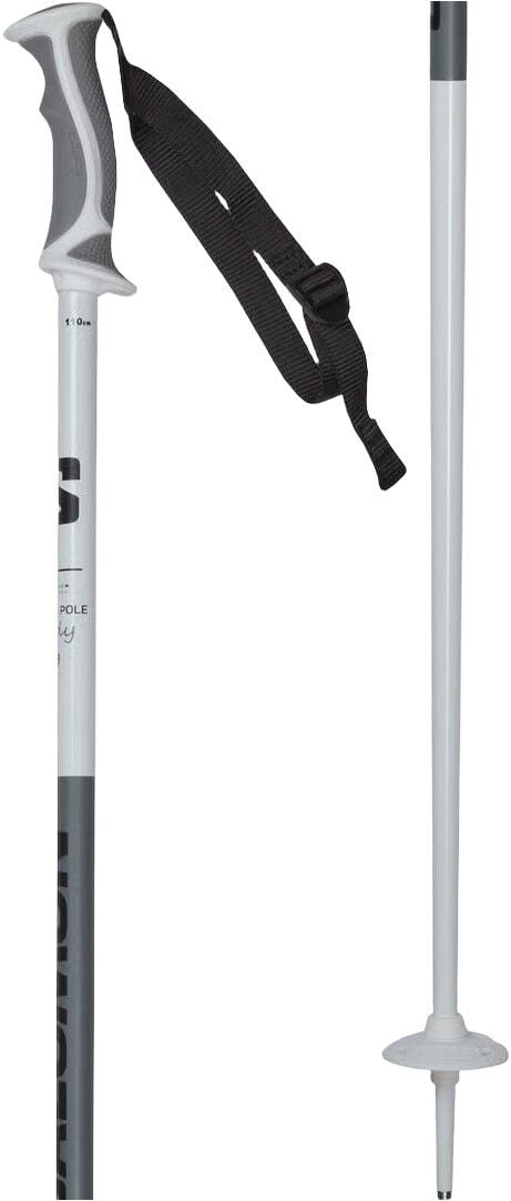 Poles X North S3 Dame Skistave