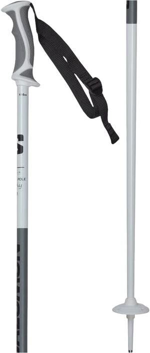 Poles X North S3 Dame Skistave