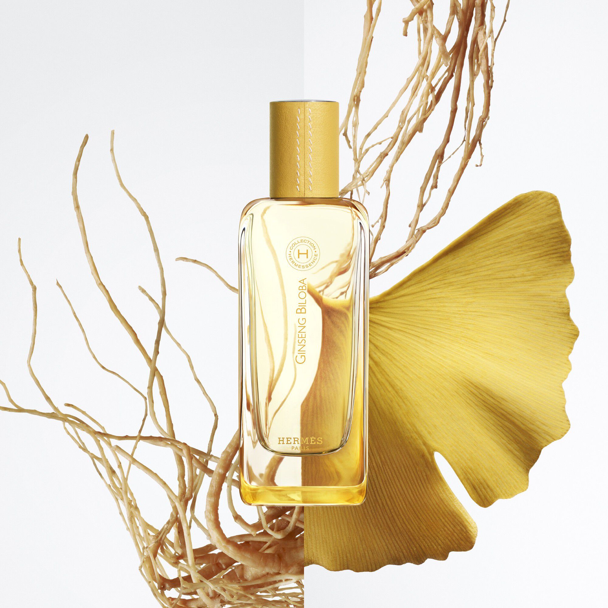 HERMESSENCE GINSENG BILOBA EDP 100 ML