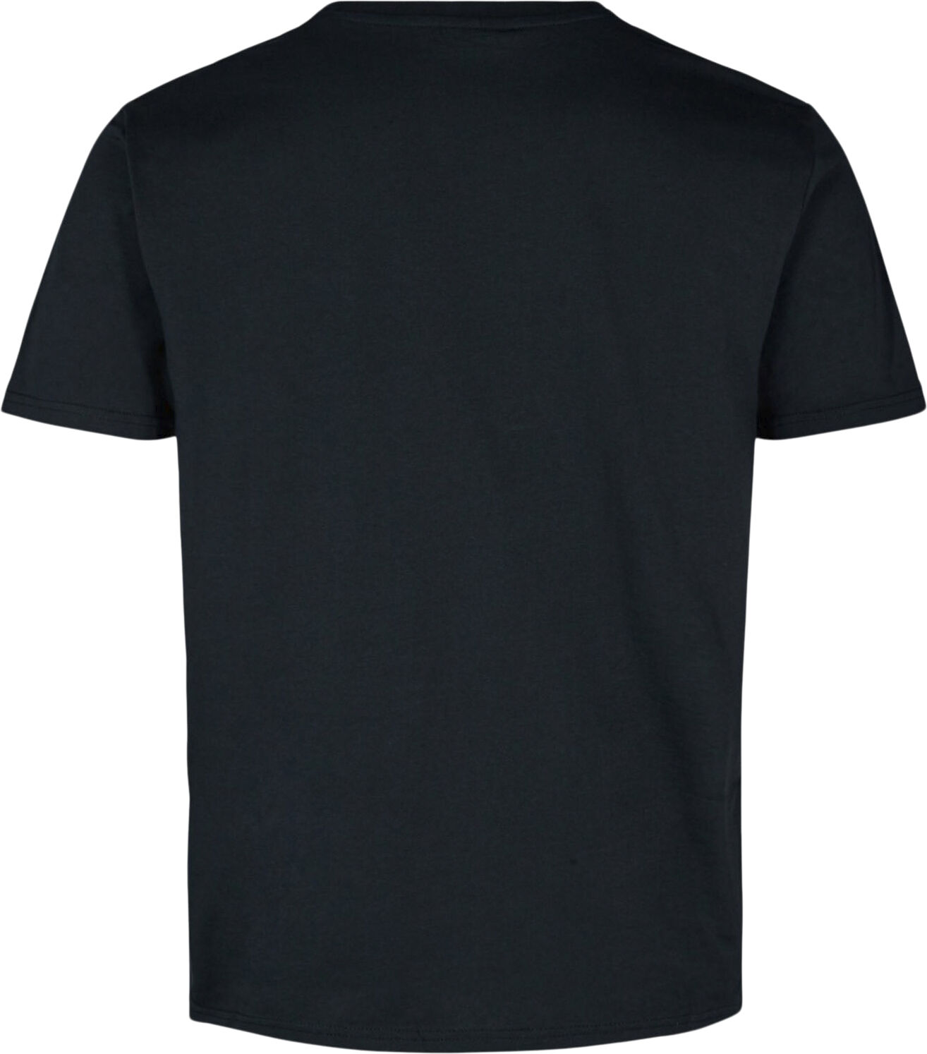 Skagen T-shirt