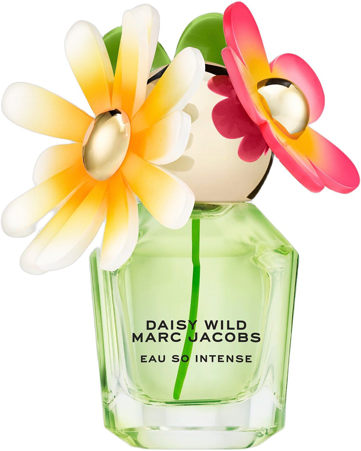 DAISY WILD INTENSE