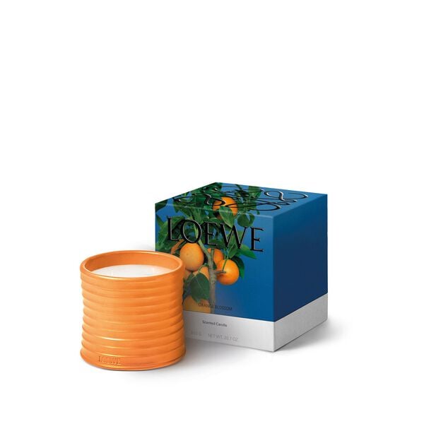 LOEWE Orange Bloss Medium Candle