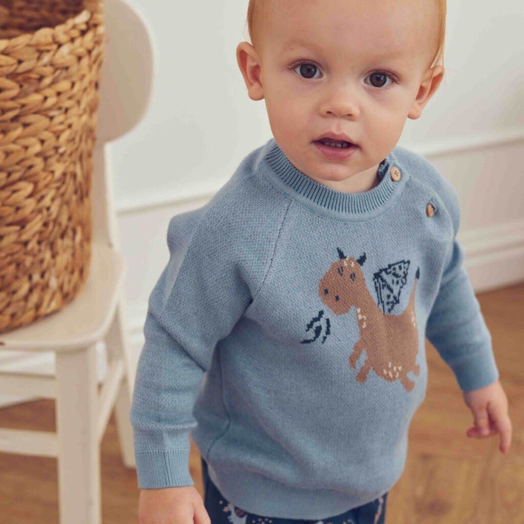 Storybook Knit Jacquard Sweater Baby