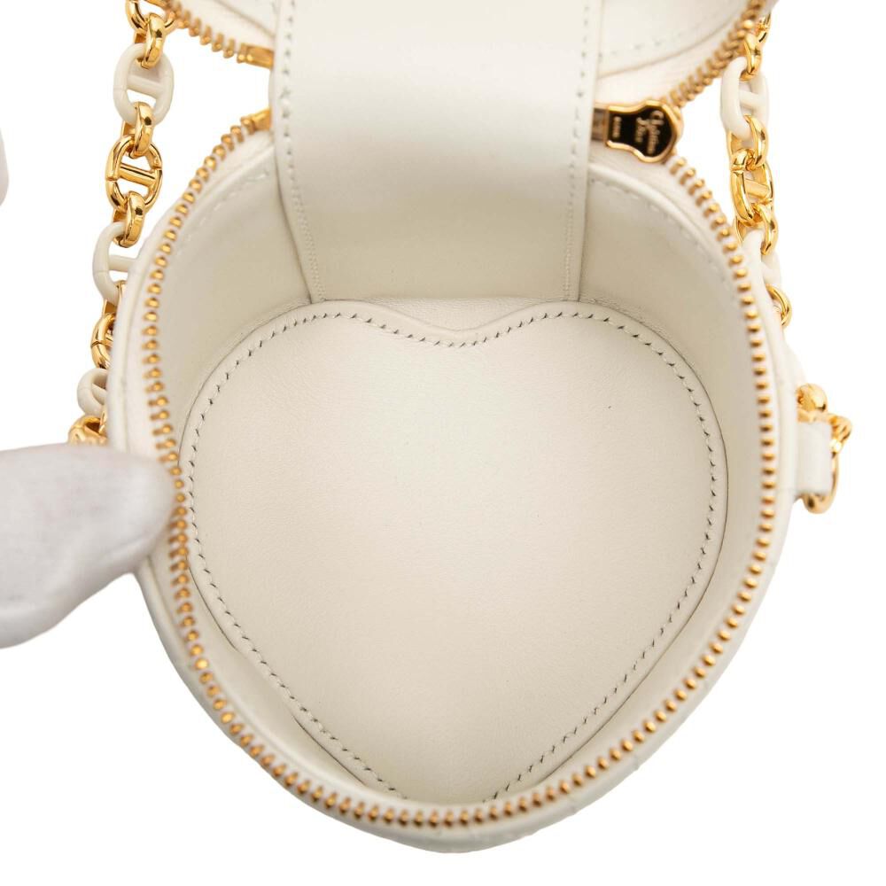 Dior Vanity Bag