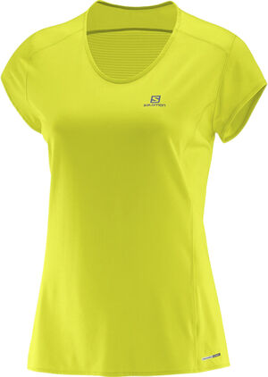 Comet Plus Ss Tee